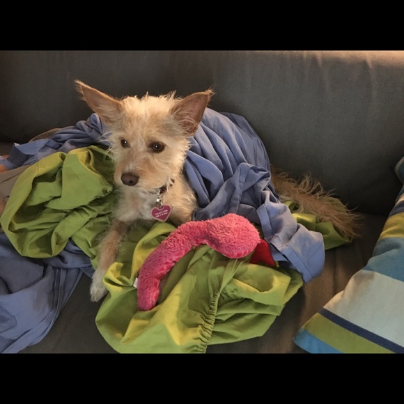 Little Bossy Girl - Picture 3 of 5